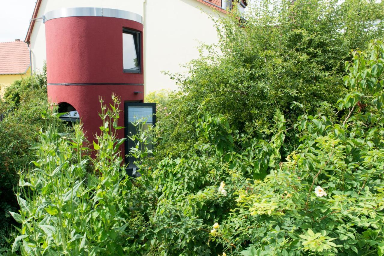 Das Alte Kino In Barth - Das Gartenhaus 外观 照片